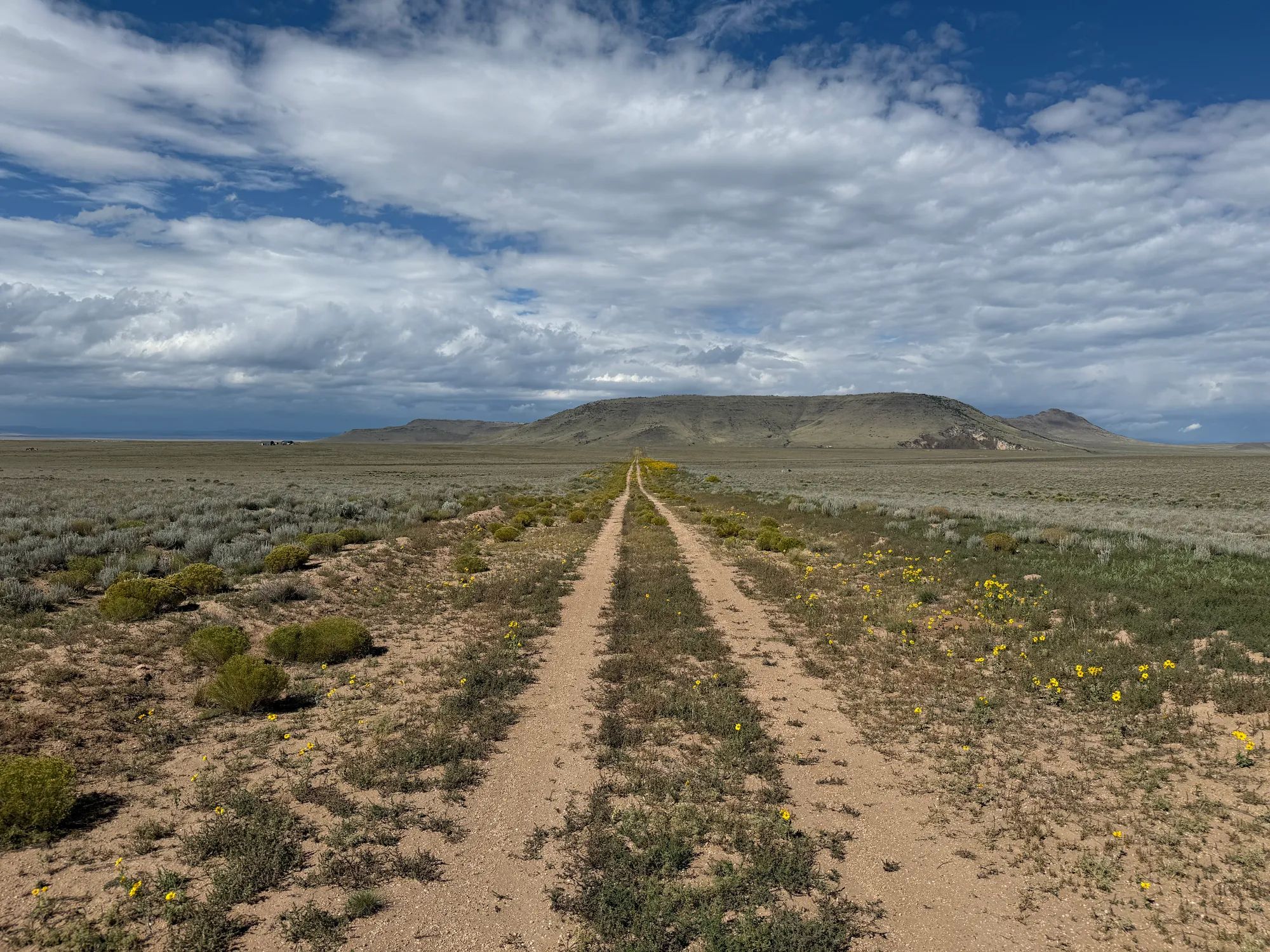 5 acre Corner Lot by the Rio Grande in Costilla County, CO