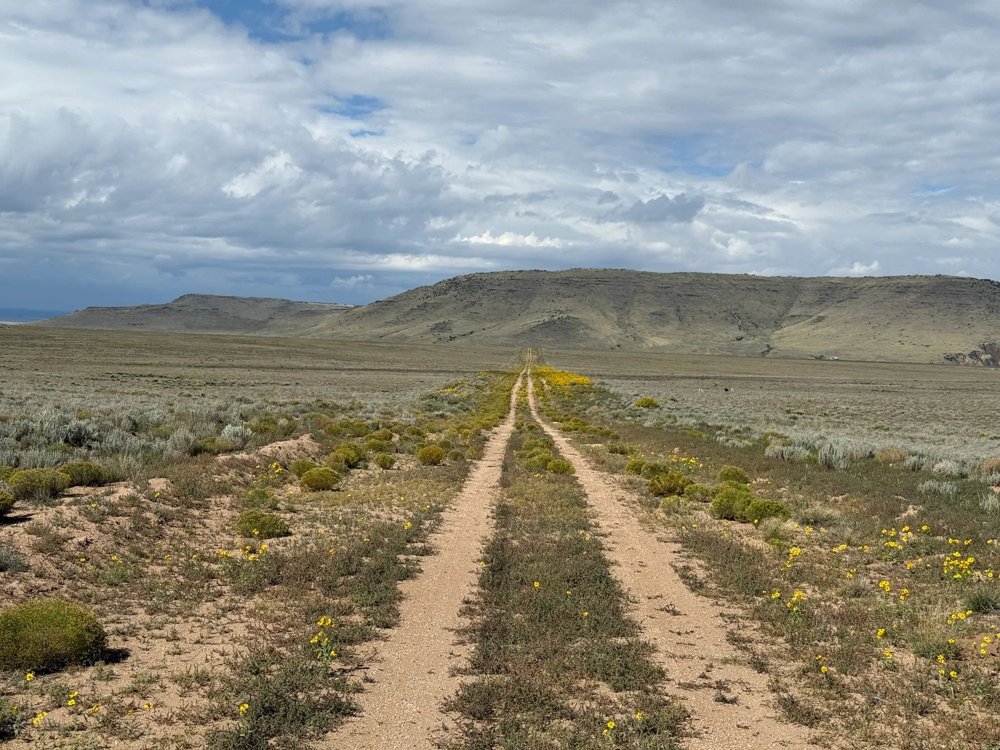 5 acre Corner Lot by the Rio Grande in Costilla County, CO