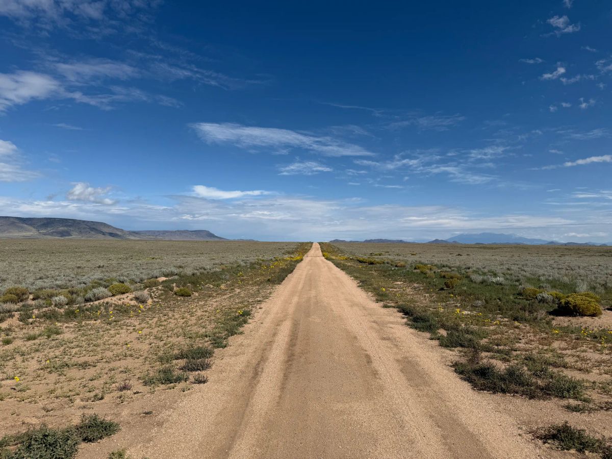 5 acre Corner Lot by the Rio Grande - Image 4