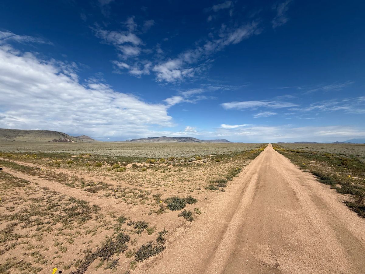 Decorative background for 5 acre Corner Lot by the Rio Grande image 5