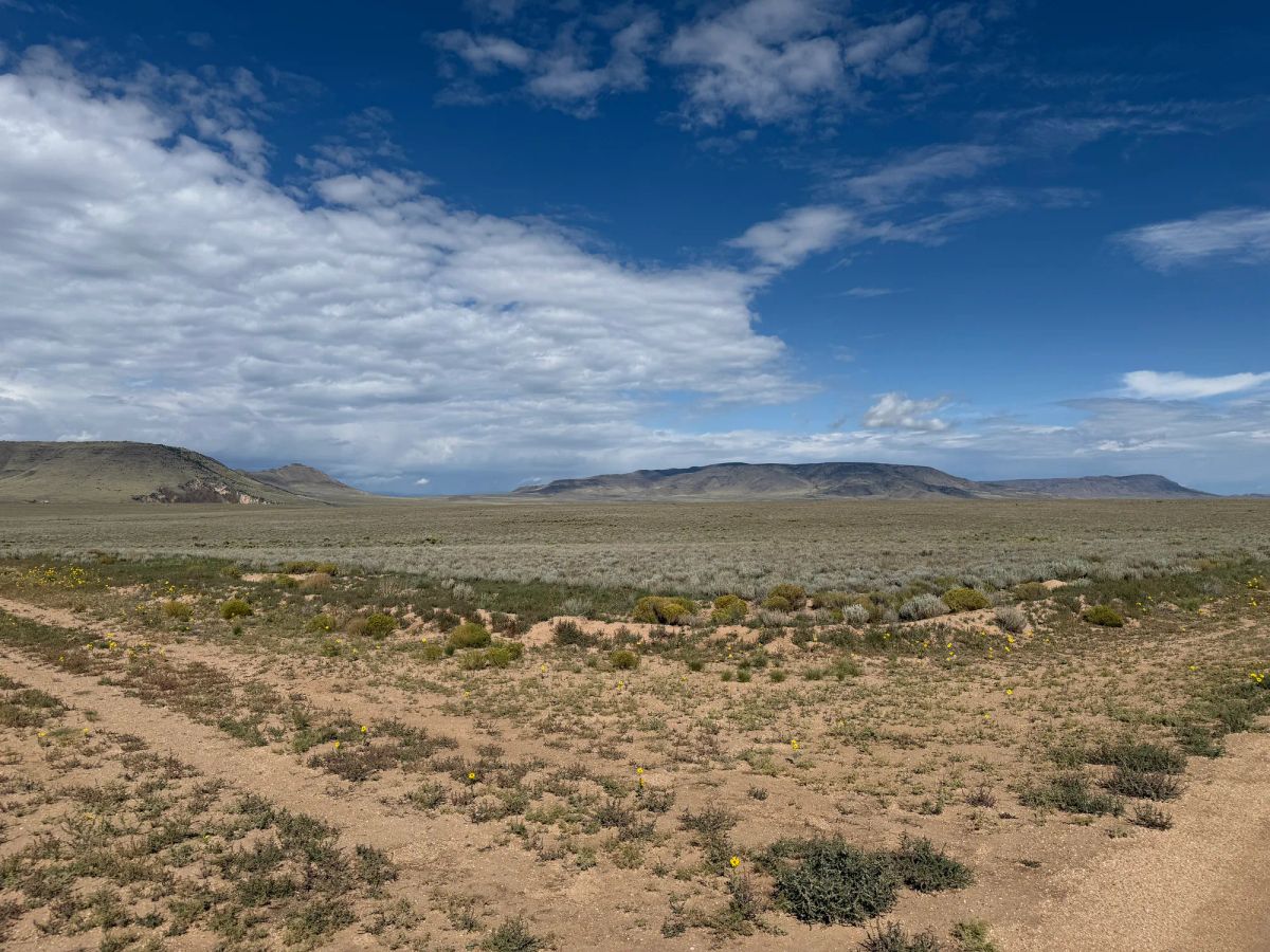 Decorative background for 5 acre Corner Lot by the Rio Grande image 6