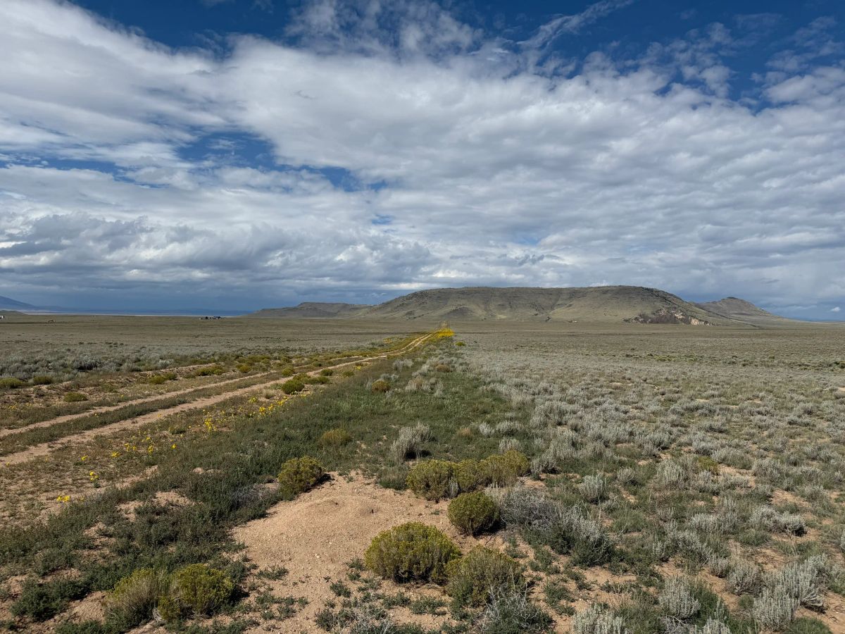 Decorative background for 5 acre Corner Lot by the Rio Grande image 7