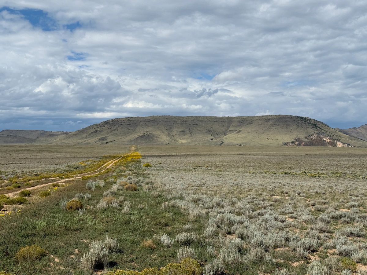 Decorative background for 5 acre Corner Lot by the Rio Grande image 8