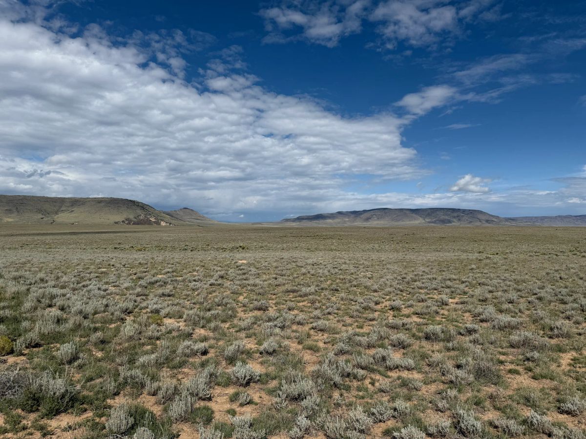 Decorative background for 5 acre Corner Lot by the Rio Grande image 9