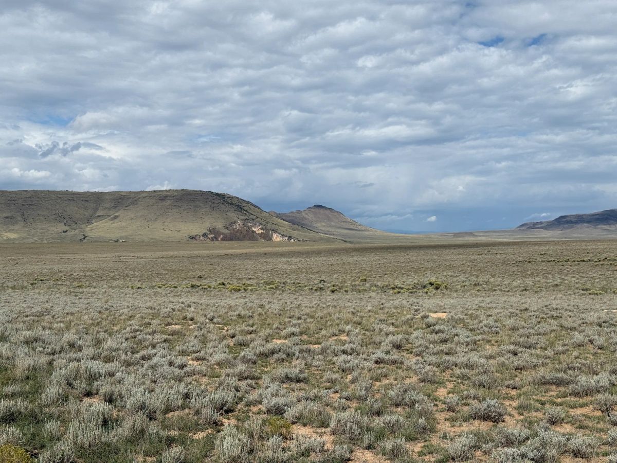Decorative background for 5 acre Corner Lot by the Rio Grande image 10