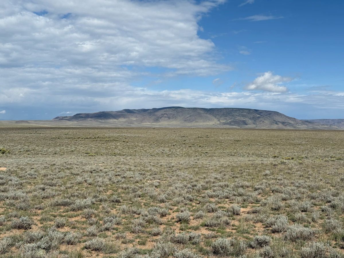 Decorative background for 5 acre Corner Lot by the Rio Grande image 11