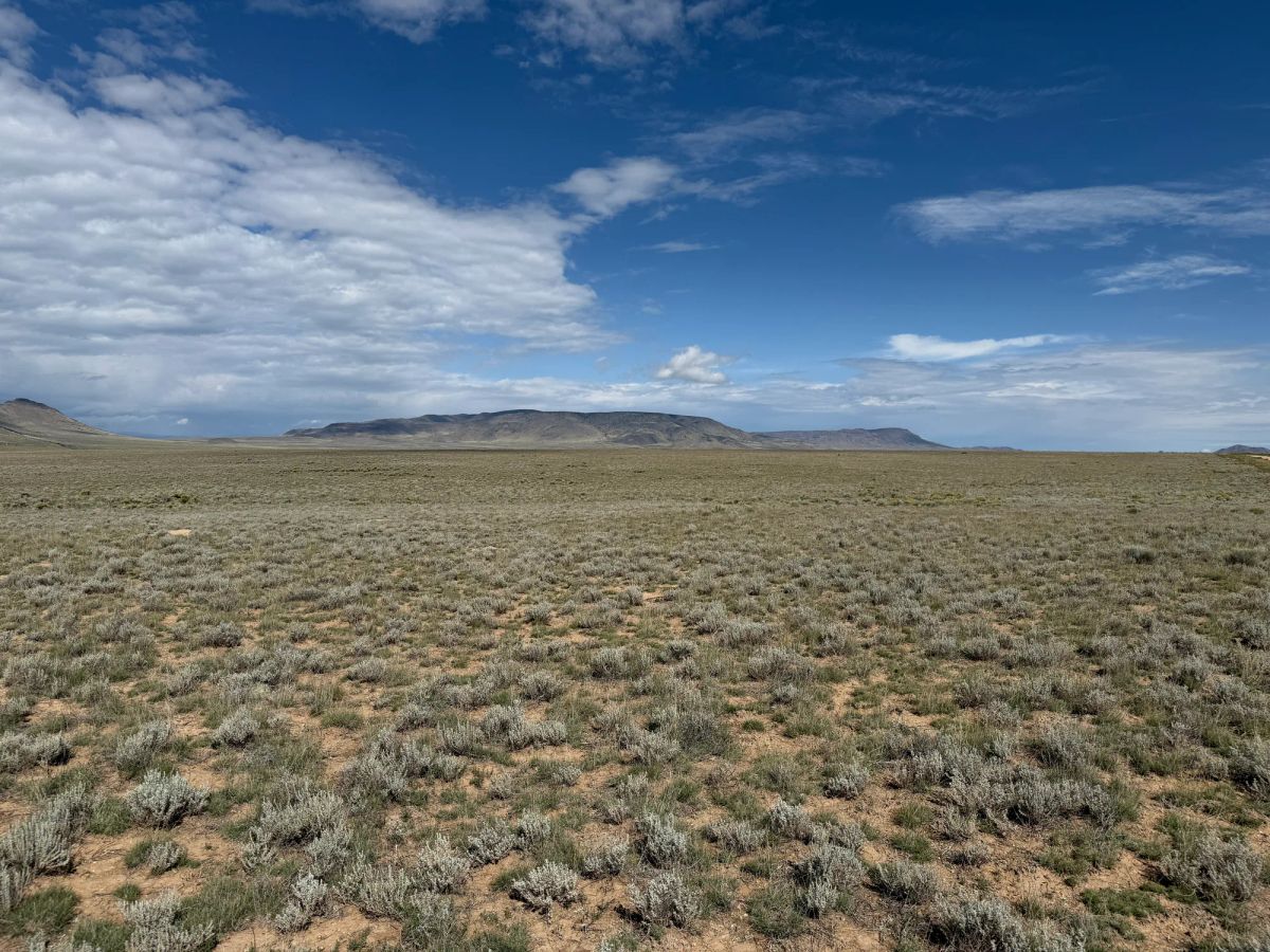 Decorative background for 5 acre Corner Lot by the Rio Grande image 12