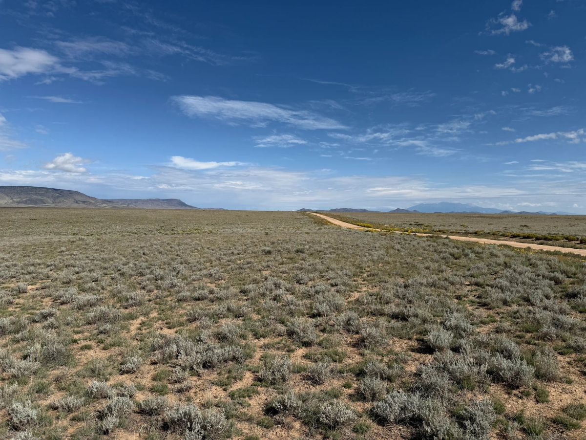 Decorative background for 5 acre Corner Lot by the Rio Grande image 13
