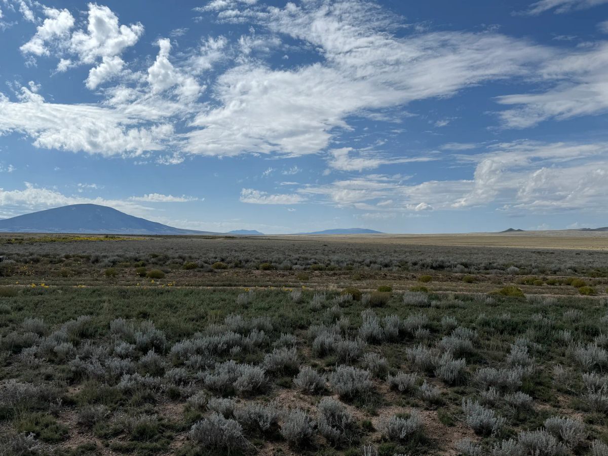 Decorative background for 5 acre Corner Lot by the Rio Grande image 14