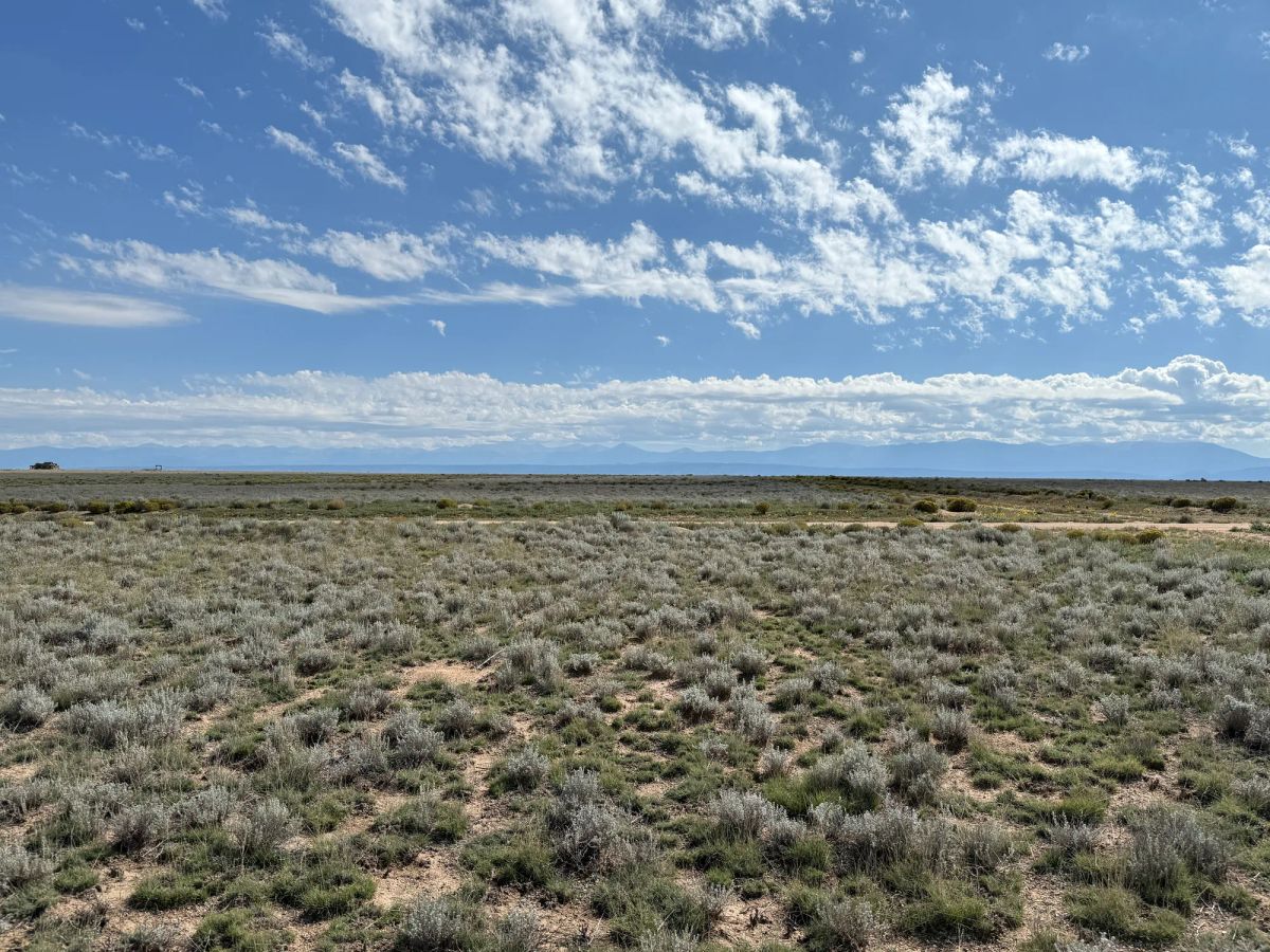 Decorative background for 5 acre Corner Lot by the Rio Grande image 15