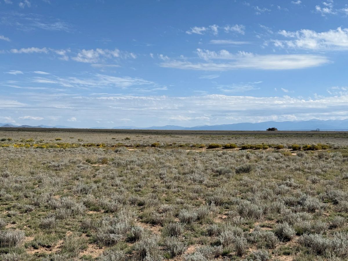 Decorative background for 5 acre Corner Lot by the Rio Grande image 16