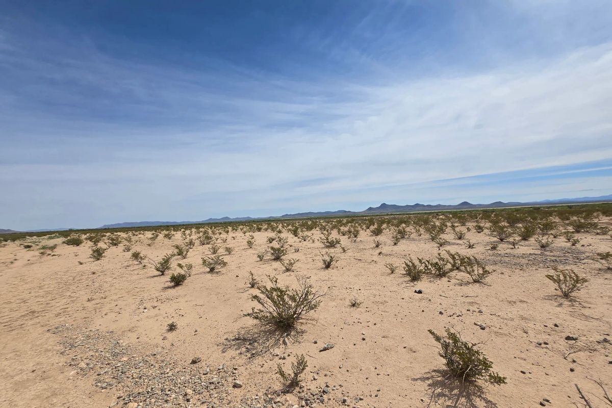 Decorative background for 10 Acres with no zoning—Town Close, Neighbors Far image 17