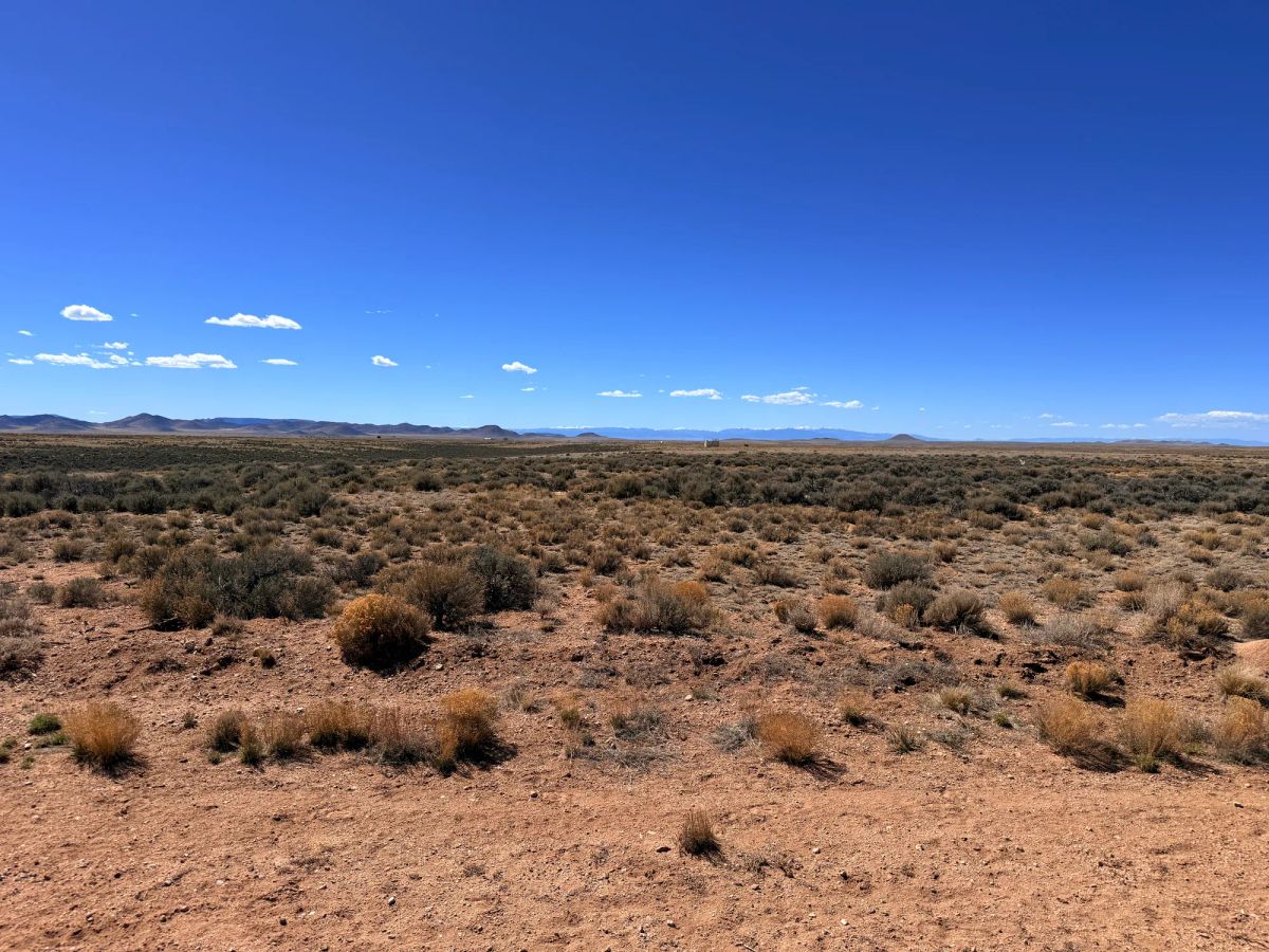 Decorative background for Prime Off-Grid Opportunity: Double lot in Costilla CO image 8