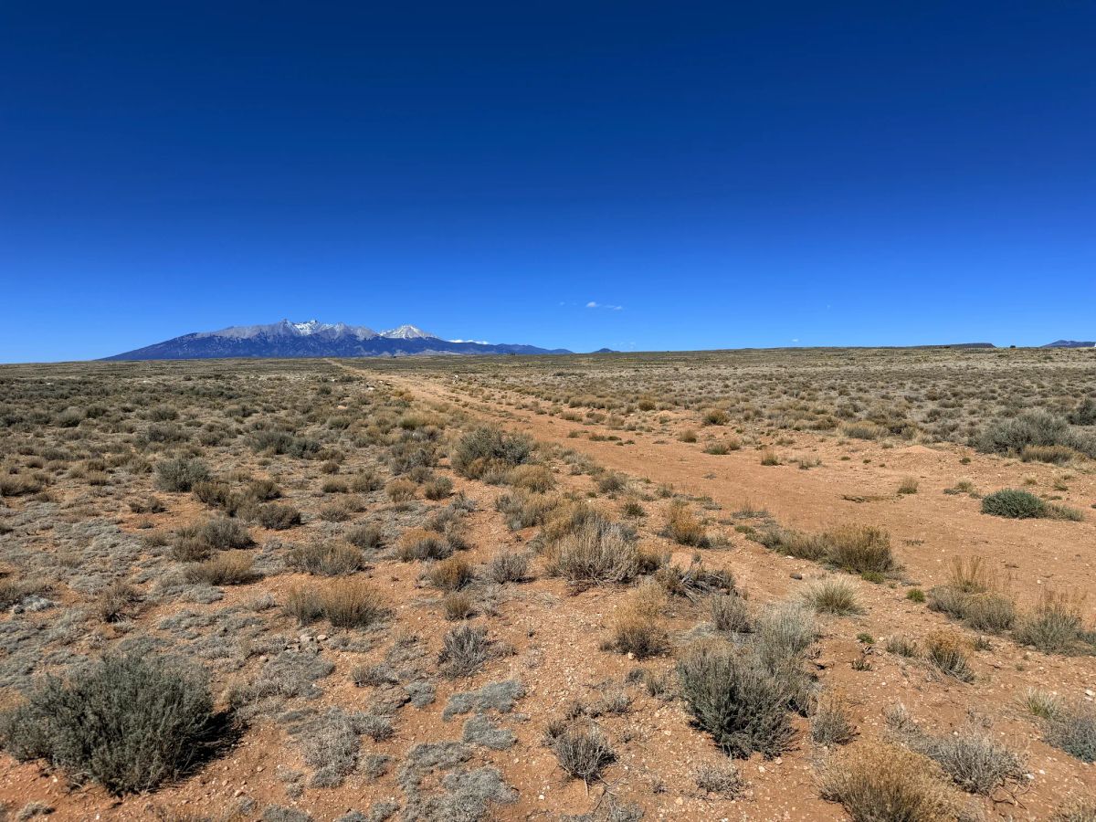 Decorative background for Prime Off-Grid Opportunity: Double lot in Costilla CO image 9