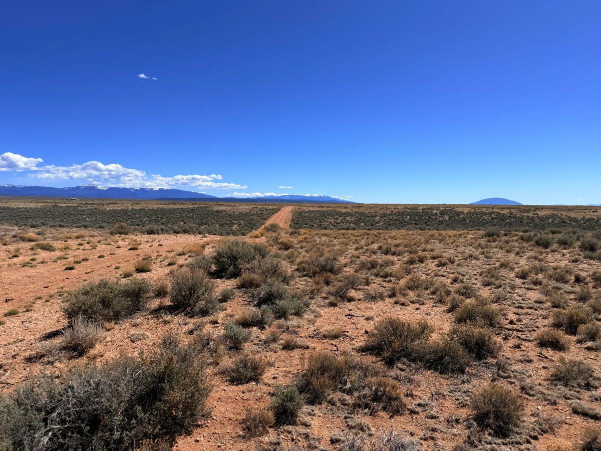 Decorative background for Prime Off-Grid Opportunity: Double lot in Costilla CO image 11