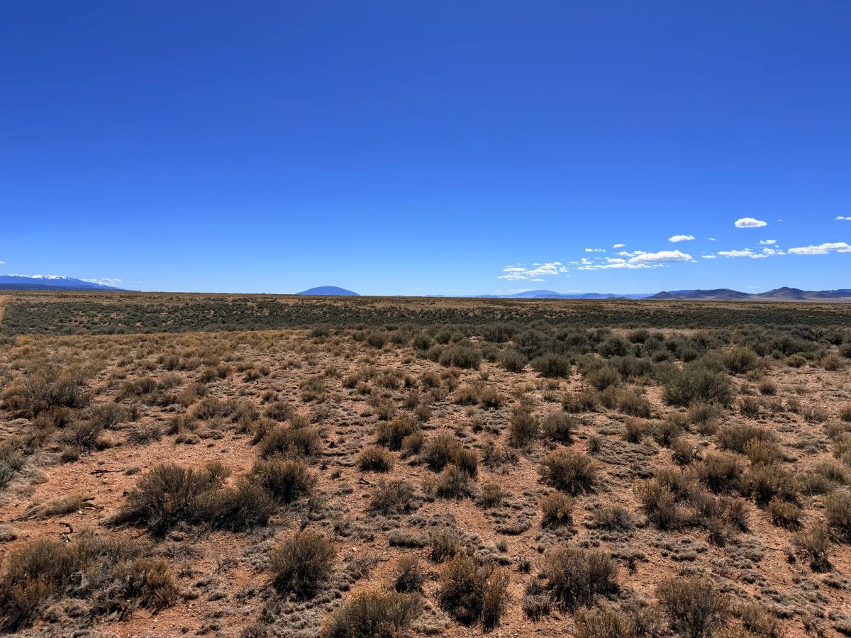 Decorative background for Prime Off-Grid Opportunity: Double lot in Costilla CO image 12