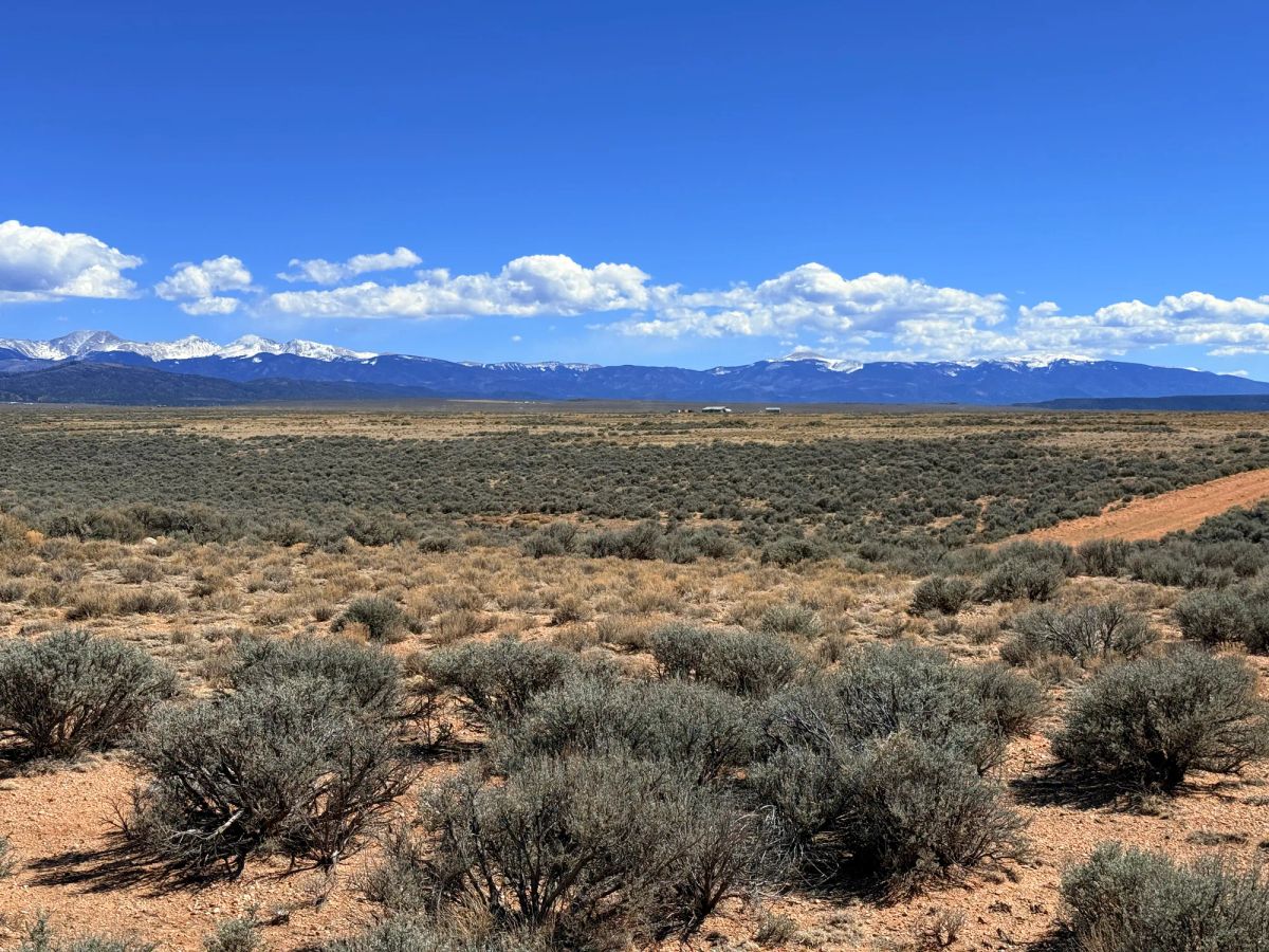 Prime Off-Grid Opportunity: Double lot in Costilla CO - Image 3