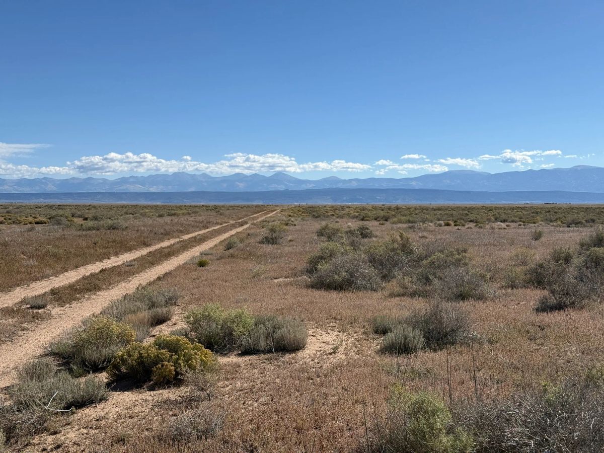 Decorative background for 5 Acres in Rio Grande Ranches | Big Sky Views and Off-Grid Freedom image 8