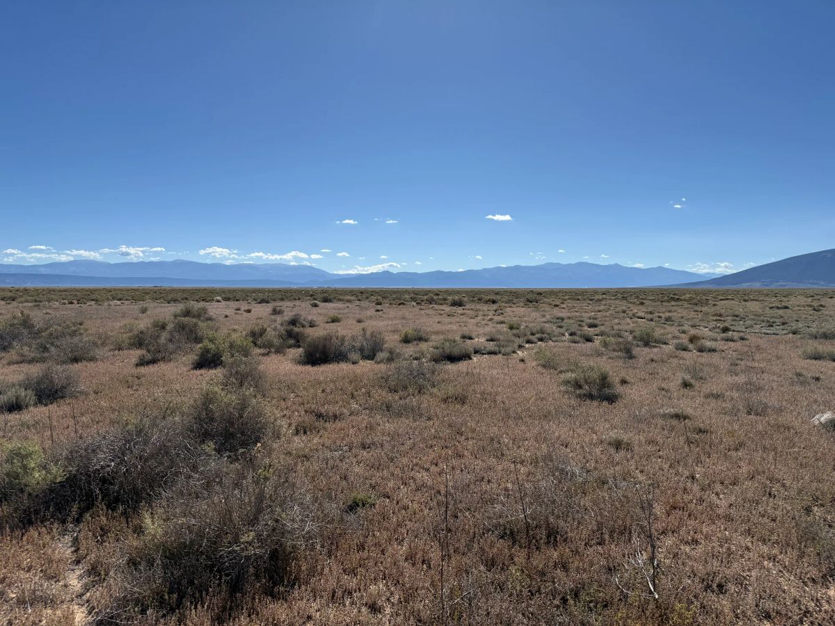 Decorative background for 5 Acres in Rio Grande Ranches | Big Sky Views and Off-Grid Freedom image 9
