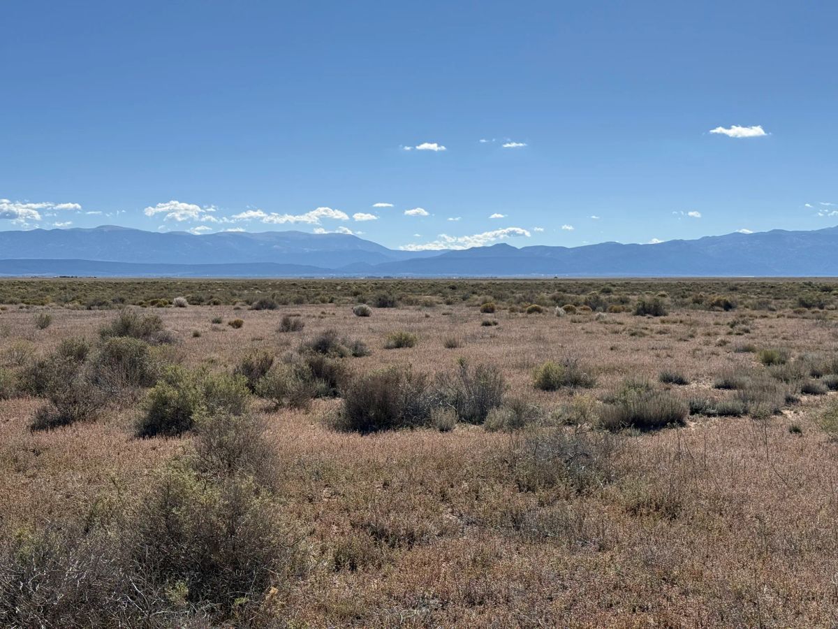 5 Acres in Rio Grande Ranches | Big Sky Views and Off-Grid Freedom - Main image