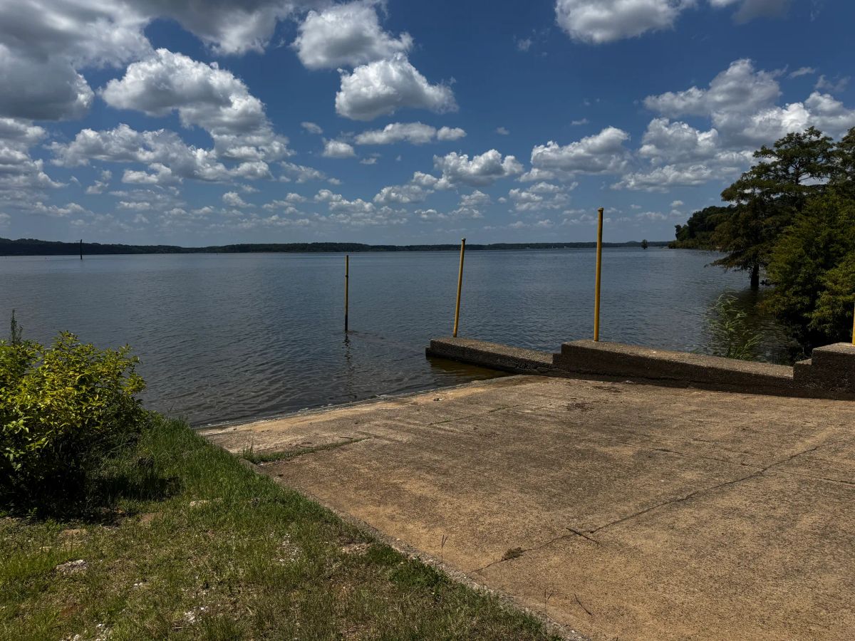 Decorative background for Lake O’ the Pines Lot | Paved Road + Power image 28