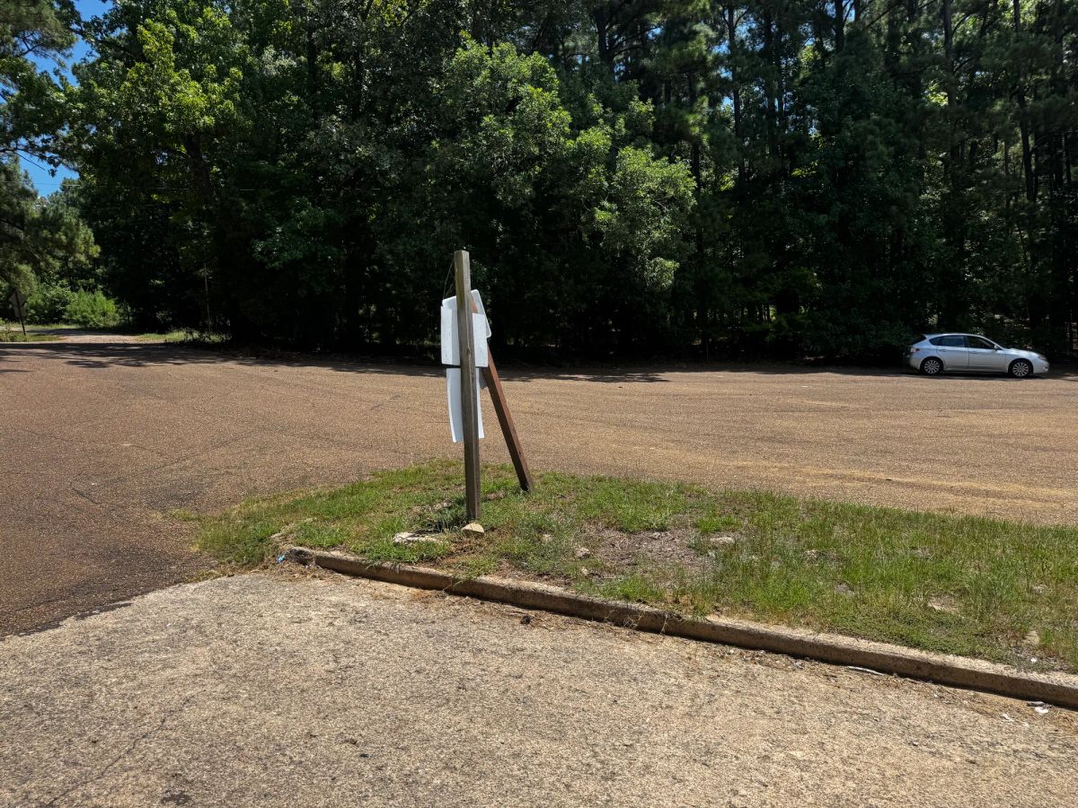 Decorative background for Lake O’ the Pines Lot | Paved Road + Power image 30