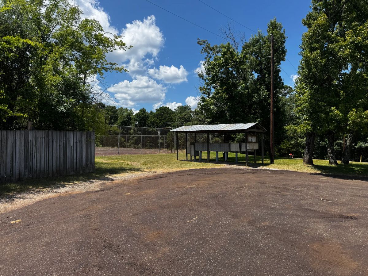 Decorative background for Lake O’ the Pines Lot | Paved Road + Power image 37