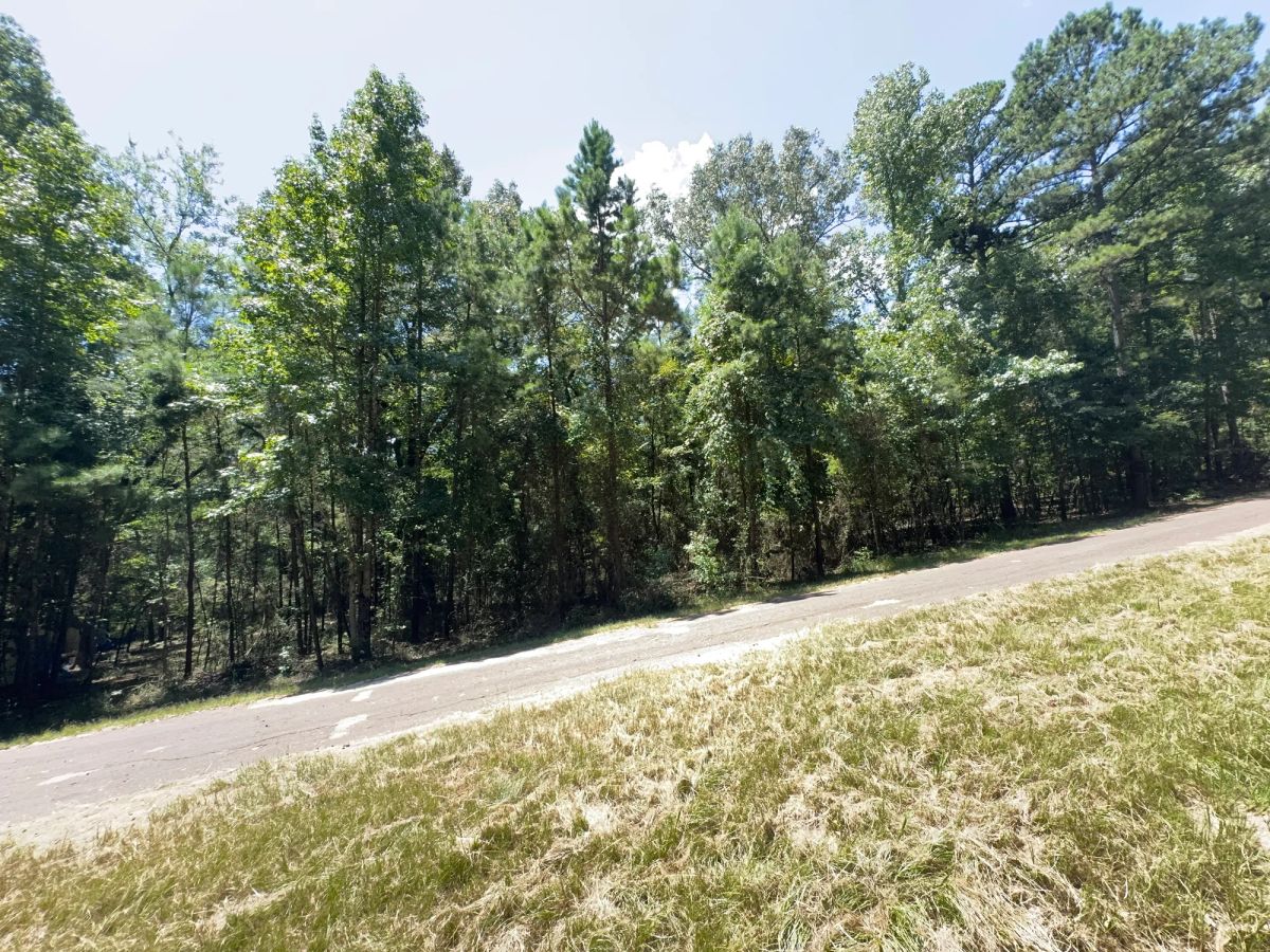 Decorative background for Lake O’ the Pines Lot | Paved Road + Power image 38