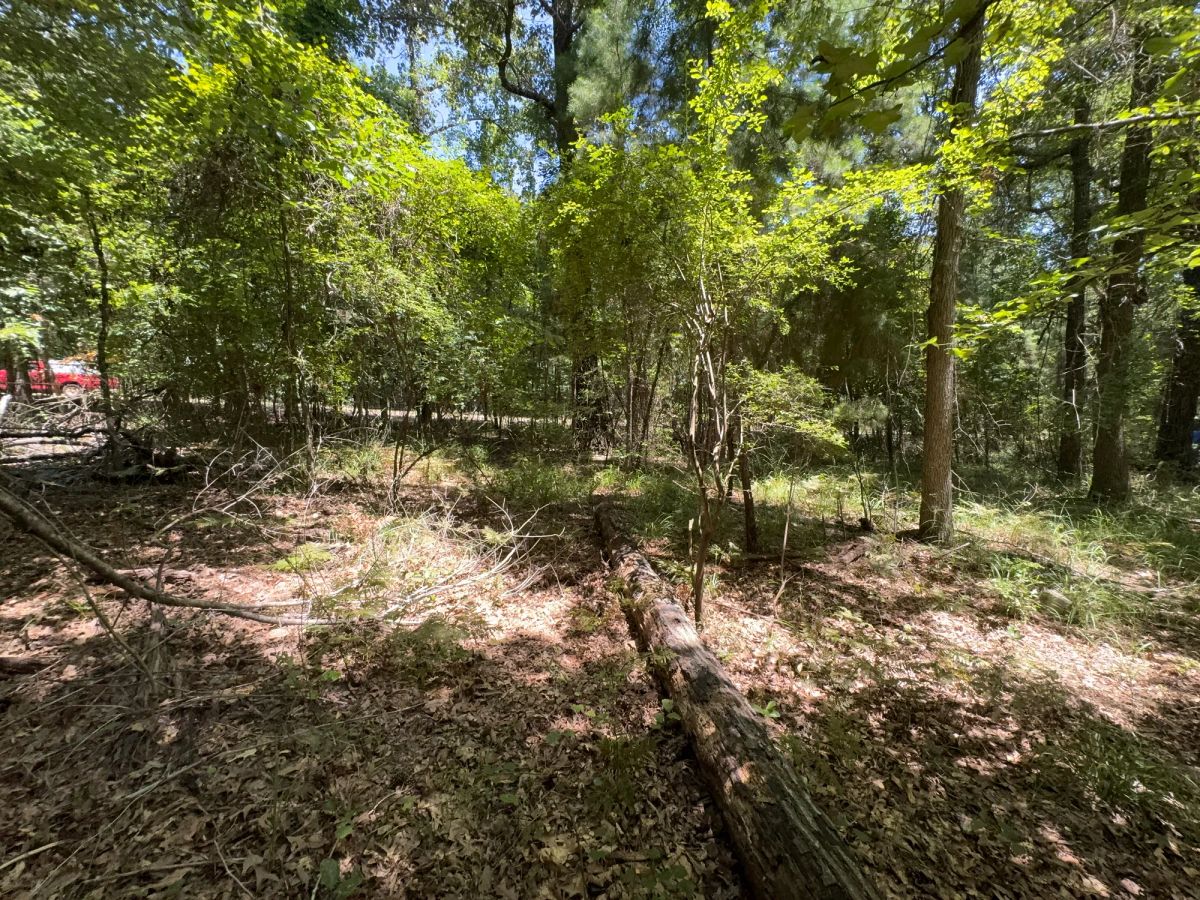 Decorative background for Lake O’ the Pines Lot | Paved Road + Power image 40