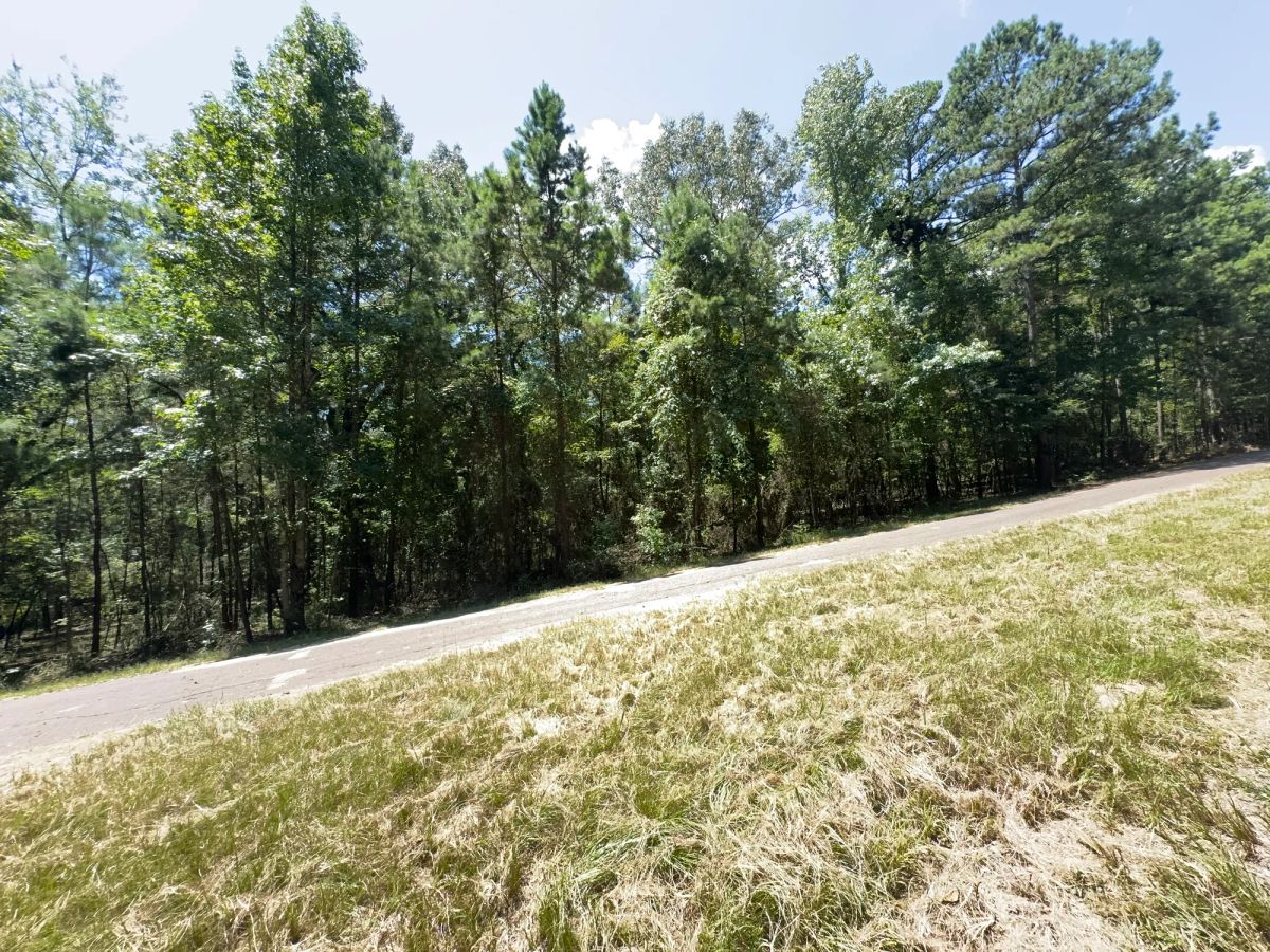 Decorative background for Lake O’ the Pines Lot | Paved Road + Power image 41
