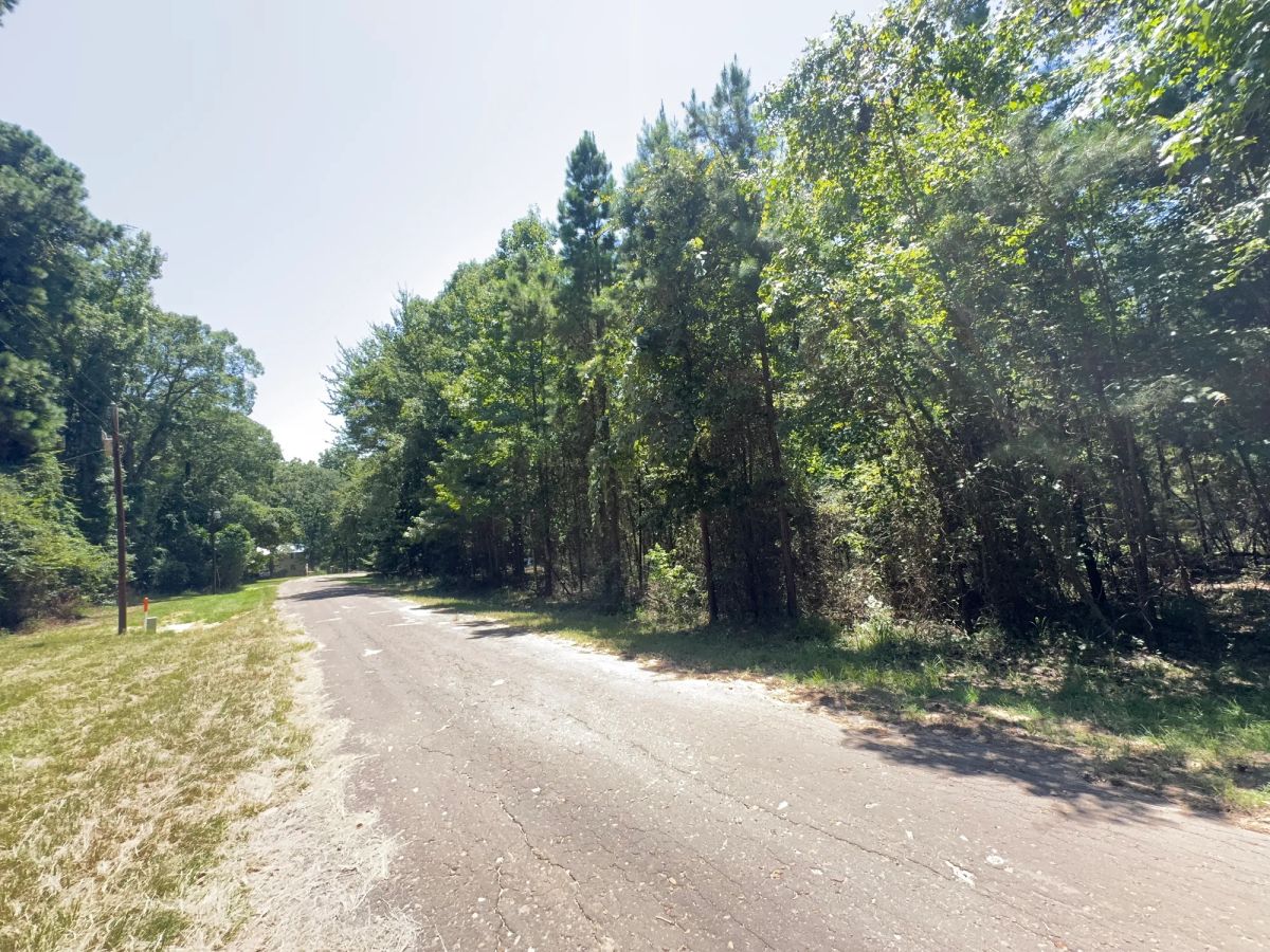 Decorative background for Lake O’ the Pines Lot | Paved Road + Power image 43