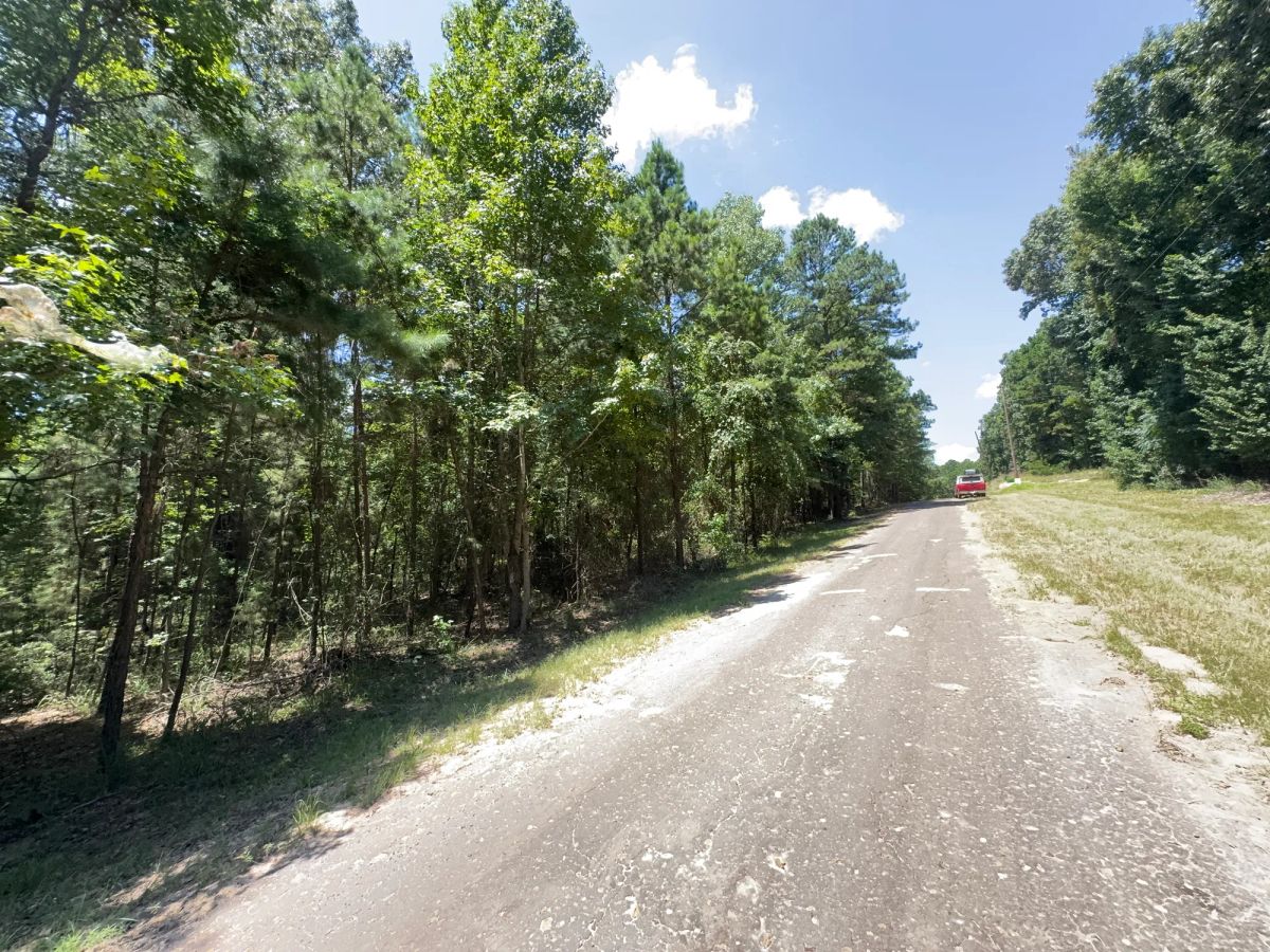 Decorative background for Lake O’ the Pines Lot | Paved Road + Power image 44