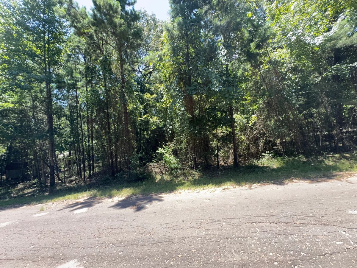 Decorative background for Lake O’ the Pines Lot | Paved Road + Power image 49
