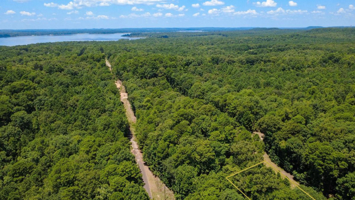 Lake O’ the Pines Lot | Paved Road + Power - Main image