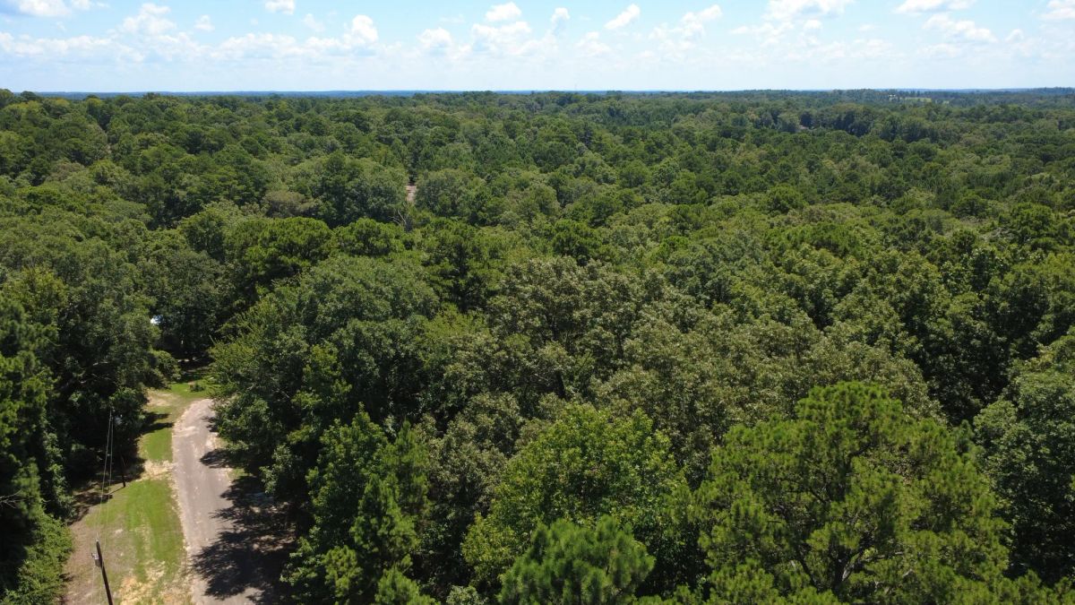 Decorative background for Lake O’ the Pines Lot | Paved Road + Power image 5