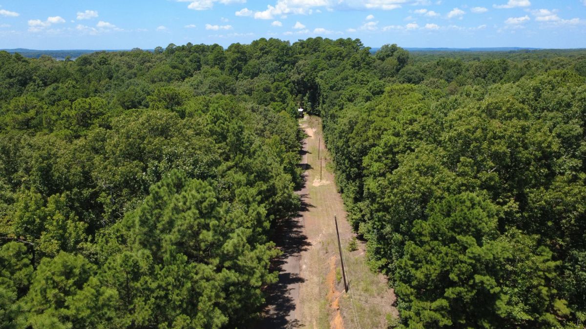 Decorative background for Lake O’ the Pines Lot | Paved Road + Power image 9