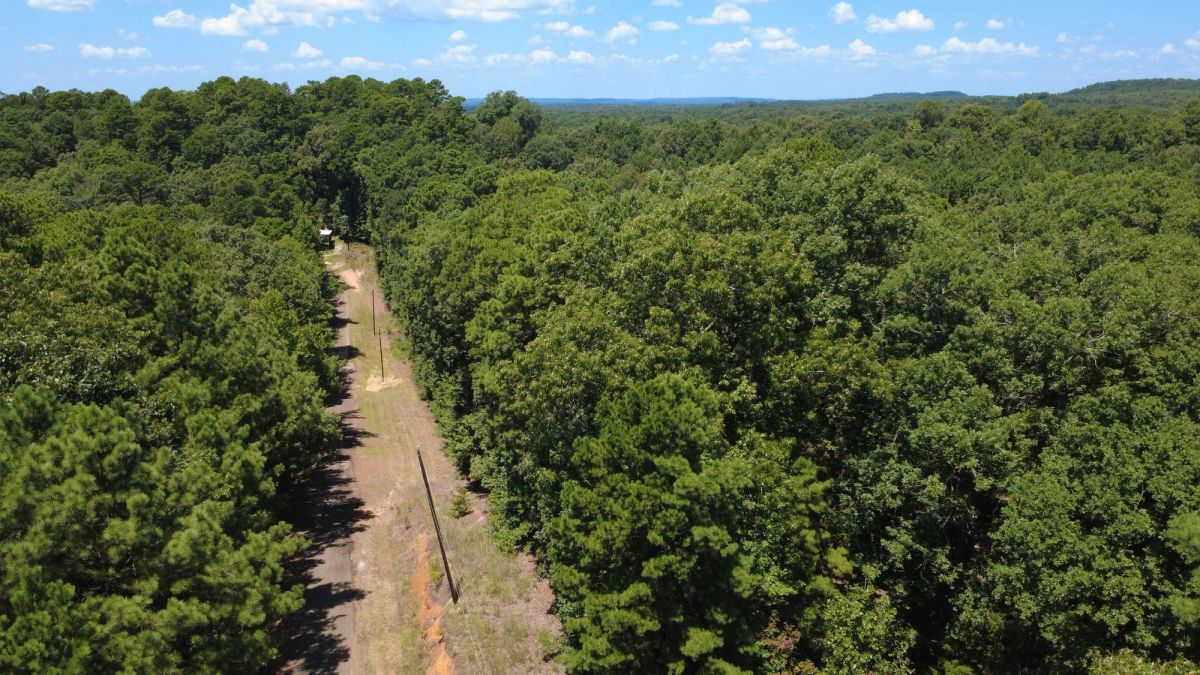Decorative background for Lake O’ the Pines Lot | Paved Road + Power image 10