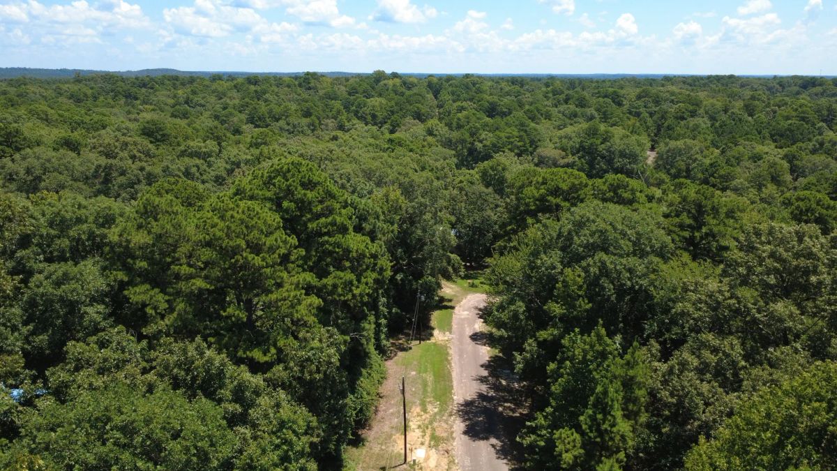 Decorative background for Lake O’ the Pines Lot | Paved Road + Power image 13