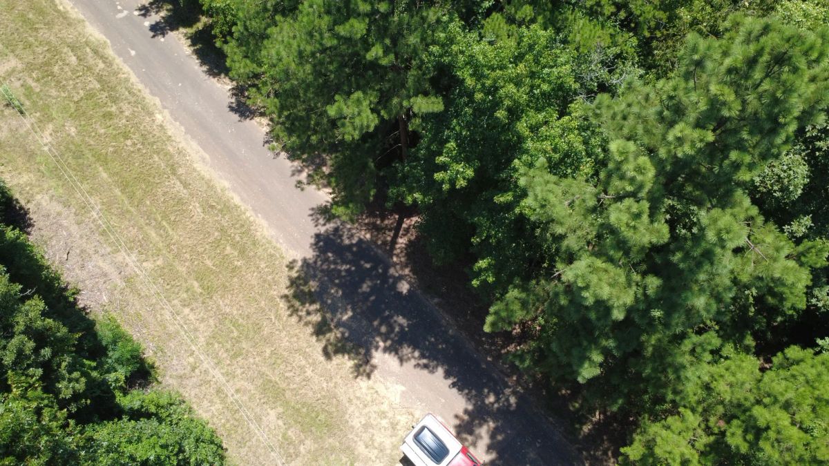 Decorative background for Lake O’ the Pines Lot | Paved Road + Power image 14