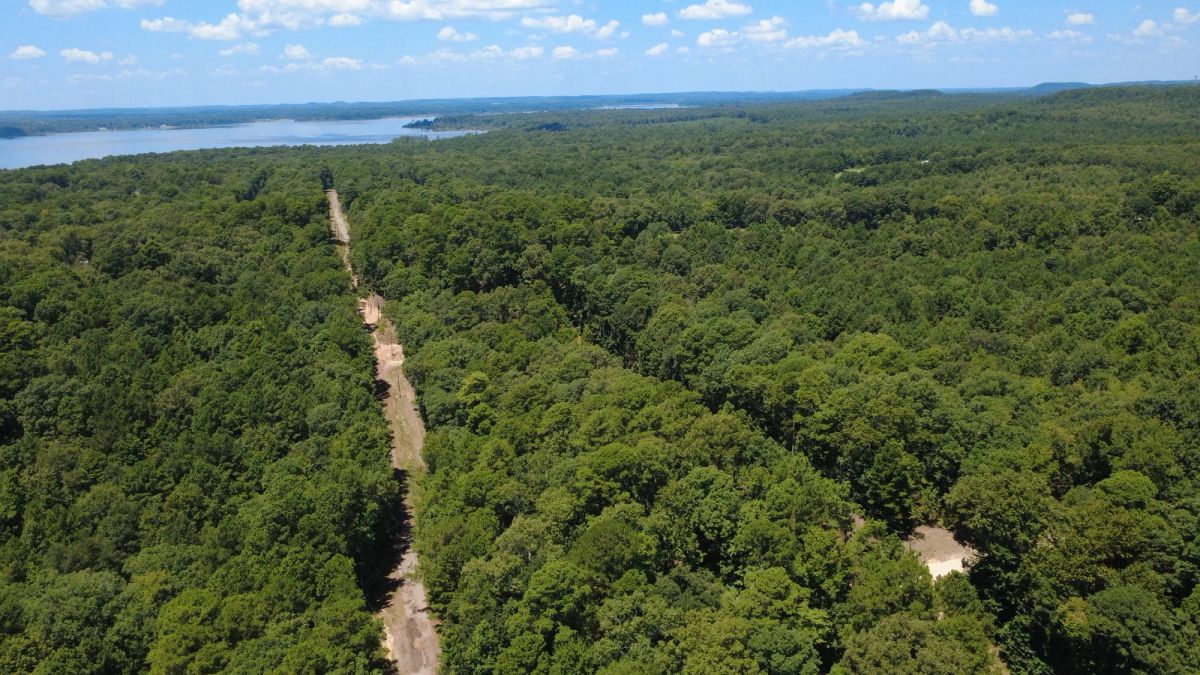 Decorative background for Lake O’ the Pines Lot | Paved Road + Power image 16