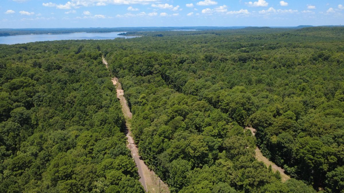 Decorative background for Lake O’ the Pines Lot | Paved Road + Power image 17