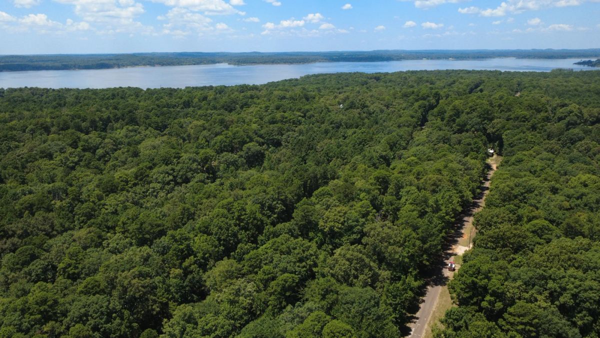 Decorative background for Lake O’ the Pines Lot | Paved Road + Power image 18
