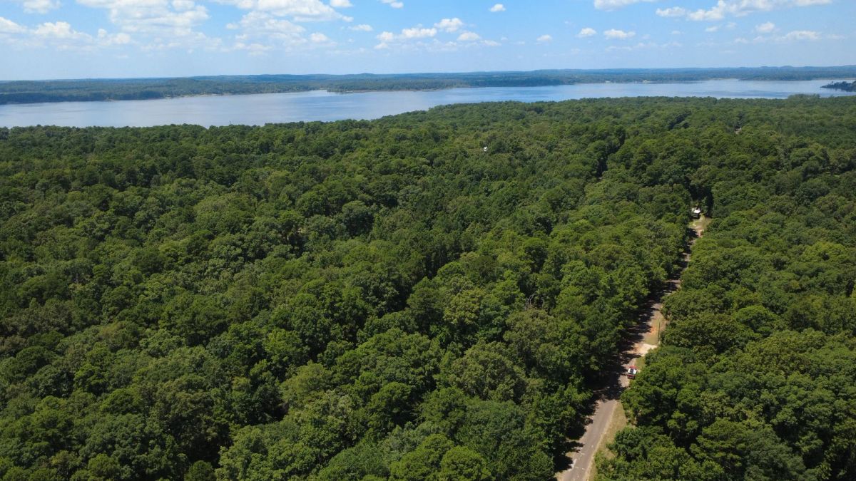Decorative background for Lake O’ the Pines Lot | Paved Road + Power image 19
