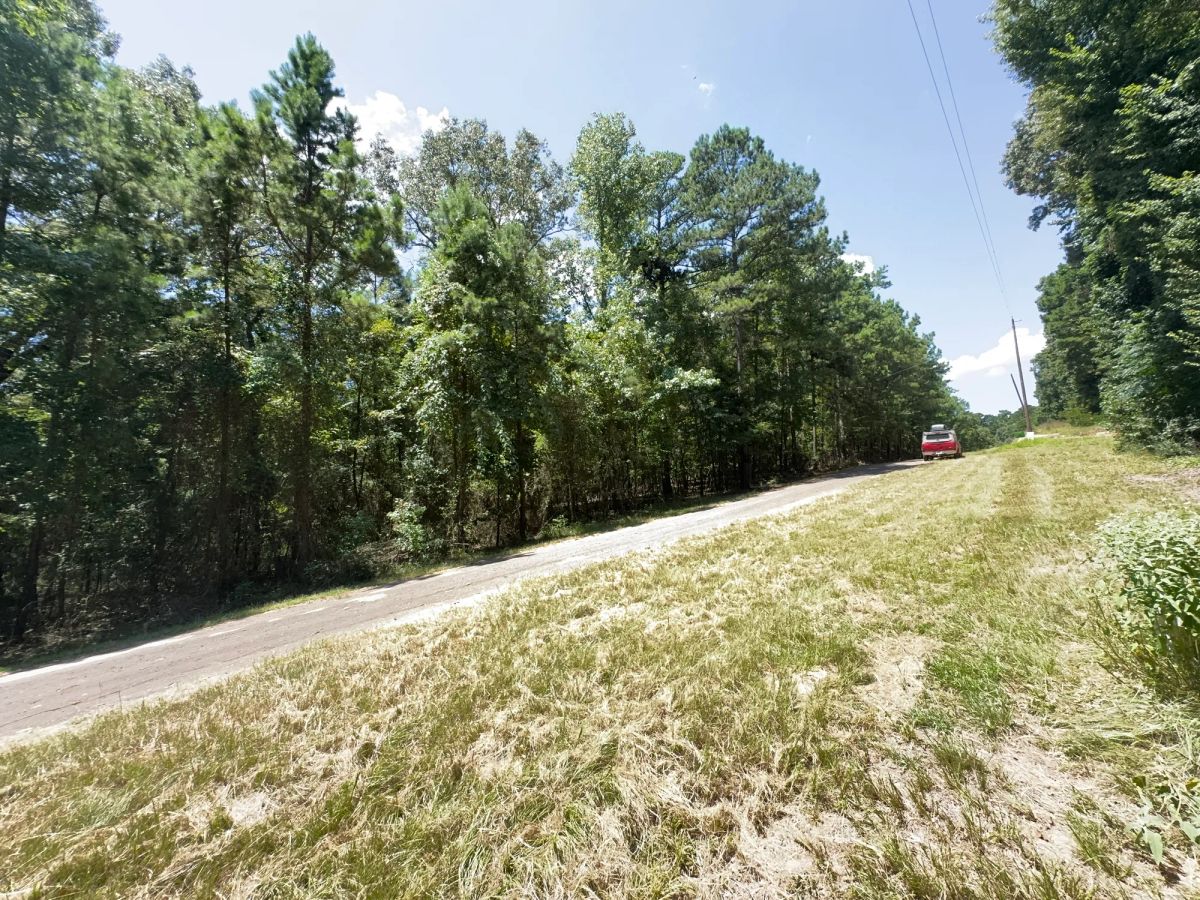 Decorative background for Lake O’ the Pines Lot | Paved Road + Power image 22
