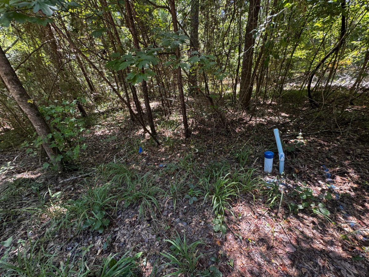 Decorative background for Lake O’ the Pines Lot | Paved Road + Power image 23