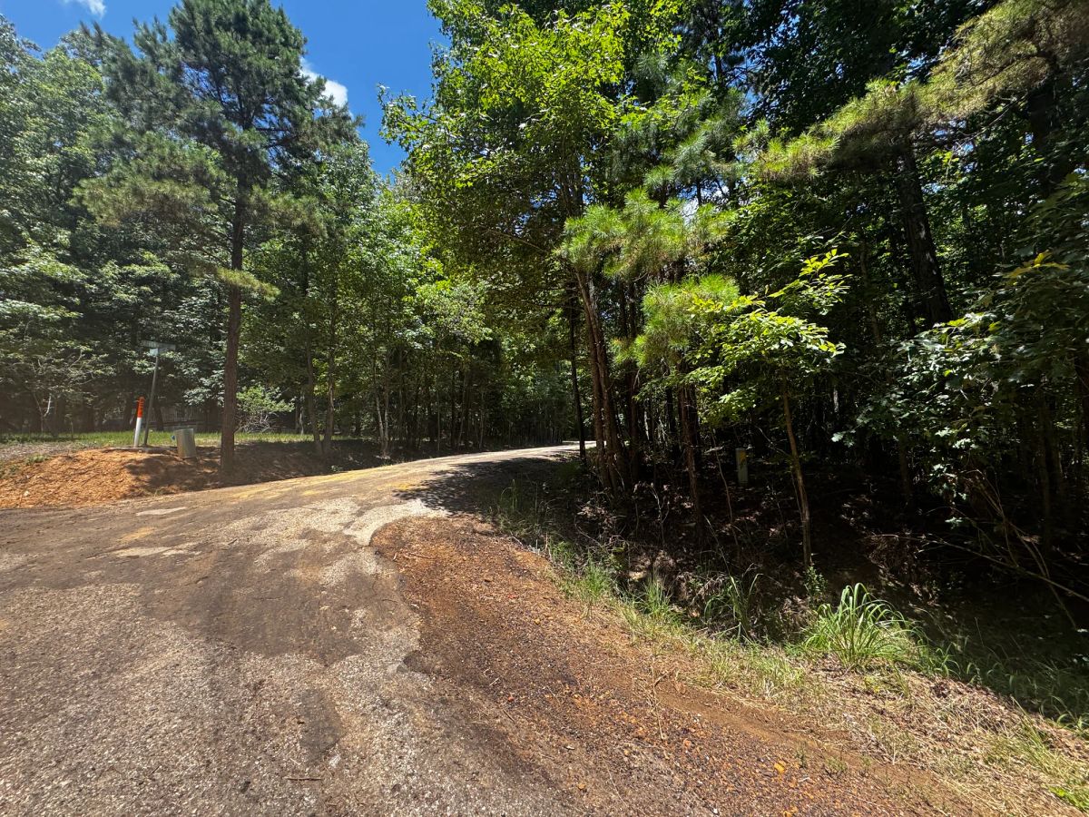 Decorative background for Lake O’ the Pines Lot | Paved Road + Power image 24