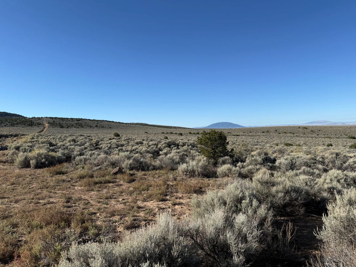 Decorative background for 3.3 Acres on Wild Horse Mesa image 6