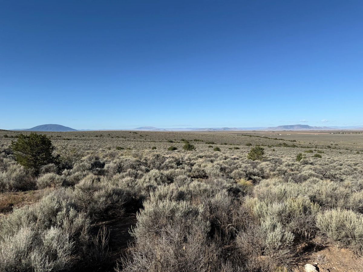 Decorative background for 3.3 Acres on Wild Horse Mesa image 7