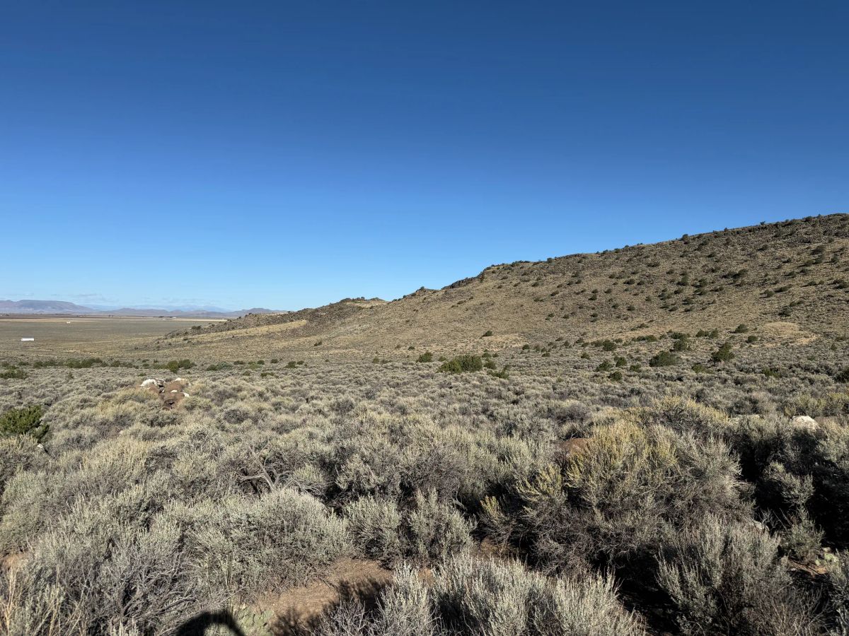 Decorative background for 3.3 Acres on Wild Horse Mesa image 9