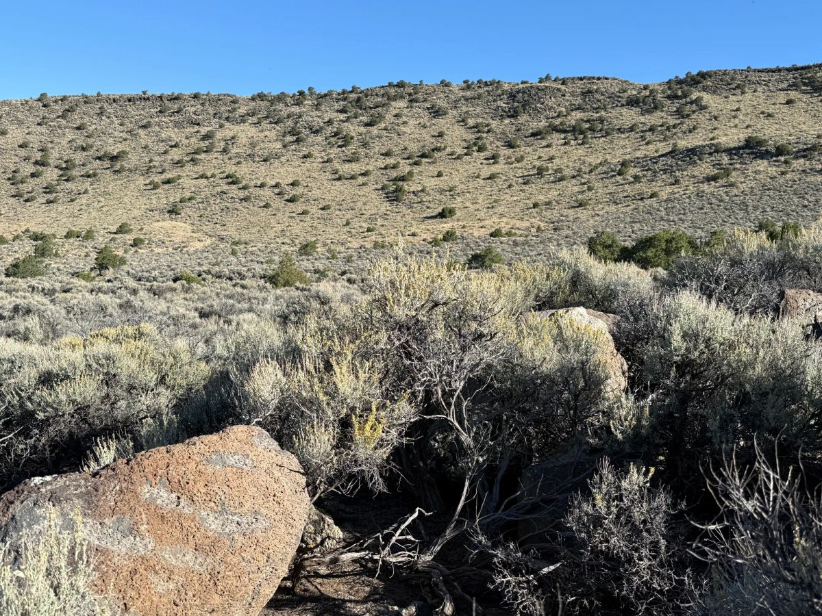 Decorative background for 3.3 Acres on Wild Horse Mesa image 10